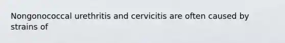 Nongonococcal urethritis and cervicitis are often caused by strains of