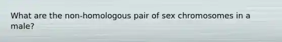 What are the non-homologous pair of sex chromosomes in a male?