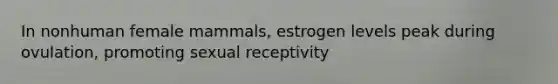 In nonhuman female mammals, estrogen levels peak during ovulation, promoting sexual receptivity