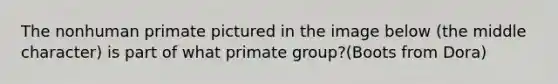 The nonhuman primate pictured in the image below (the middle character) is part of what primate group?(Boots from Dora)