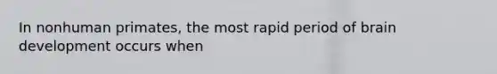 In nonhuman primates, the most rapid period of brain development occurs when