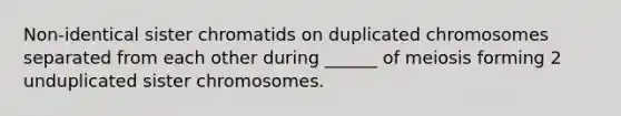 Non-identical sister chromatids on duplicated chromosomes separated from each other during ______ of meiosis forming 2 unduplicated sister chromosomes.