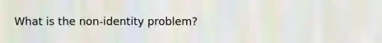 What is the non-identity problem?