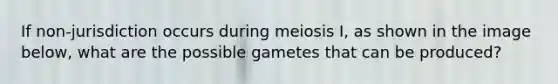 If non-jurisdiction occurs during meiosis I, as shown in the image below, what are the possible gametes that can be produced?