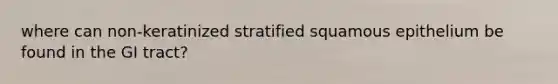 where can non-keratinized stratified squamous epithelium be found in the GI tract?