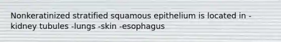 Nonkeratinized stratified squamous epithelium is located in -kidney tubules -lungs -skin -esophagus