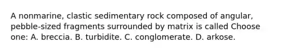 A nonmarine, clastic sedimentary rock composed of angular, pebble-sized fragments surrounded by matrix is called Choose one: A. breccia. B. turbidite. C. conglomerate. D. arkose.