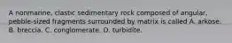 A nonmarine, clastic sedimentary rock composed of angular, pebble-sized fragments surrounded by matrix is called A. arkose. B. breccia. C. conglomerate. D. turbidite.