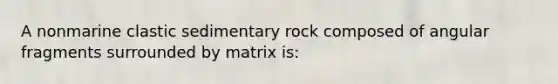 A nonmarine clastic sedimentary rock composed of angular fragments surrounded by matrix is: