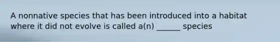 A nonnative species that has been introduced into a habitat where it did not evolve is called a(n) ______ species