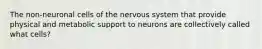 The non-neuronal cells of the nervous system that provide physical and metabolic support to neurons are collectively called what cells?