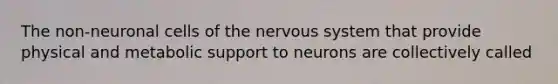 The non-neuronal cells of the nervous system that provide physical and metabolic support to neurons are collectively called