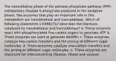 The nonoxidative phase of the pentose phosphate pathway (PPP) metabolizes ribulose 5-phosphate produced in the oxidative phase. Two enzymes that play an important role in this metabolism are transketolase and transaldolase. Which of following statements CORRECTLY describes the reactions catalyzed by transketolase and transaldolase? a. These enzymes react with phosphorylated five-carbon sugars to generate ATP. b. These enzymes are used to generate NADPH. c. These enzymes catalyze two-carbon transfers and the joining of different sugar molecules. d. These enzymes catalyze one-carbon transfers and the joining of different sugar molecules. e. These enzymes are important for interconverting ribulose, ribose and xyulose.