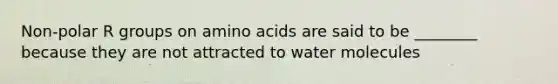 Non-polar R groups on amino acids are said to be ________ because they are not attracted to water molecules