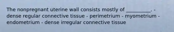 The nonpregnant uterine wall consists mostly of __________. - dense regular connective tissue - perimetrium - myometrium - endometrium - dense irregular connective tissue