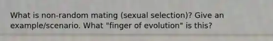 What is non-random mating (sexual selection)? Give an example/scenario. What "finger of evolution" is this?