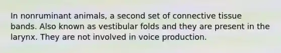 In nonruminant animals, a second set of connective tissue bands. Also known as vestibular folds and they are present in the larynx. They are not involved in voice production.