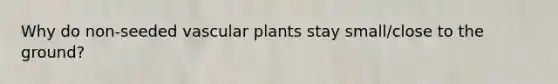 Why do non-seeded vascular plants stay small/close to the ground?