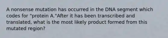 A nonsense mutation has occurred in the DNA segment which codes for "protein A."After it has been transcribed and translated, what is the most likely product formed from this mutated region?