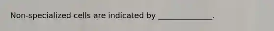 Non-specialized cells are indicated by ______________.