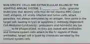 NON-SPECIFIC CELLS AND EXTRACELLULAR KILLING BY THE ADAPTIVE IMMUNE SYSTEM: 1. ______ ______ Cells - granular leukocytes that destroy cells that do not express MHC Class I (self) antigens, kill virally infected and tumor cells, attack parasites, not always stimulated by an antigen, form pores in the target cell, leading to lysis or apoptosis 2. Antibody-Dependent Cell-Mediated Cytotoxicity - protozoans and helminths are too ______ to be phagocytized, so they are coated with antibodies and immune system cells attach to the Fc regions of these antibodies, target cell is lysed by chemicals secreted by the immune system cells