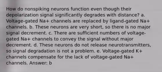 How do nonspiking neurons function even though their depolarization signal significantly degrades with distance? a. Voltage-gated Na+ channels are replaced by ligand-gated Na+ channels. b. These neurons are very short, so there is no major signal decrement. c. There are sufficient numbers of voltage-gated Na+ channels to convey the signal without major decrement. d. These neurons do not release neurotransmitters, so signal degradation is not a problem. e. Voltage-gated K+ channels compensate for the lack of voltage-gated Na+ channels. Answer: b