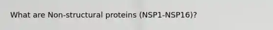 What are Non-structural proteins (NSP1-NSP16)?