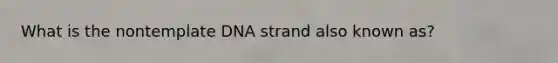 What is the nontemplate DNA strand also known as?