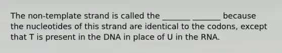 The non-template strand is called the _______ _______ because the nucleotides of this strand are identical to the codons, except that T is present in the DNA in place of U in the RNA.