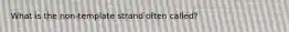 What is the non-template strand often called?