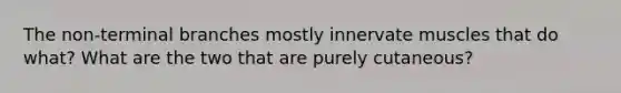 The non-terminal branches mostly innervate muscles that do what? What are the two that are purely cutaneous?