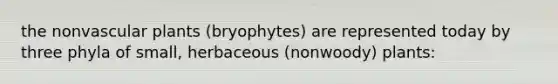 the non<a href='https://www.questionai.com/knowledge/kbaUXKuBoK-vascular-plants' class='anchor-knowledge'>vascular plants</a> (bryophytes) are represented today by three phyla of small, herbaceous (nonwoody) plants: