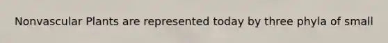Nonvascular Plants are represented today by three phyla of small