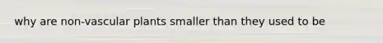 why are non-vascular plants smaller than they used to be