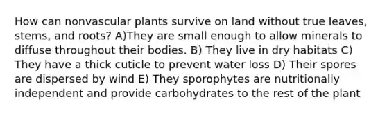 How can non<a href='https://www.questionai.com/knowledge/kbaUXKuBoK-vascular-plants' class='anchor-knowledge'>vascular plants</a> survive on land without true leaves, stems, and roots? A)They are small enough to allow minerals to diffuse throughout their bodies. B) They live in dry habitats C) They have a thick cuticle to prevent water loss D) Their spores are dispersed by wind E) They sporophytes are nutritionally independent and provide carbohydrates to the rest of the plant