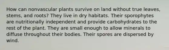 How can nonvascular plants survive on land without true leaves, stems, and roots? They live in dry habitats. Their sporophytes are nutritionally independent and provide carbohydrates to the rest of the plant. They are small enough to allow minerals to diffuse throughout their bodies. Their spores are dispersed by wind.