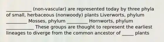 ___________ (non-vascular) are represented today by three phyla of small, herbaceous (nonwoody) plants Liverworts, phylum _________ Mosses, phylum _________ Hornworts, phylum ____________ These groups are thought to represent the earliest lineages to diverge from the common ancestor of _____ plants