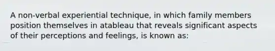 A non-verbal experiential technique, in which family members position themselves in atableau that reveals significant aspects of their perceptions and feelings, is known as: