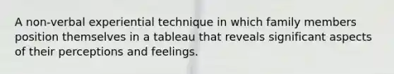 A non-verbal experiential technique in which family members position themselves in a tableau that reveals significant aspects of their perceptions and feelings.