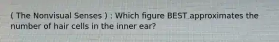 ( The Nonvisual Senses ) : Which figure BEST approximates the number of hair cells in the inner ear?