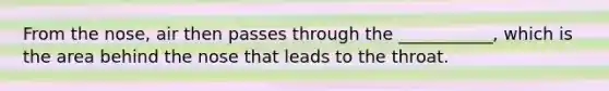From the nose, air then passes through the ___________, which is the area behind the nose that leads to the throat.