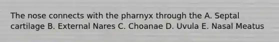 The nose connects with the pharnyx through the A. Septal cartilage B. External Nares C. Choanae D. Uvula E. Nasal Meatus