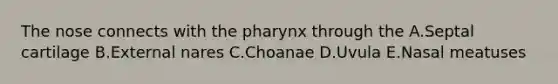 The nose connects with the pharynx through the A.Septal cartilage B.External nares C.Choanae D.Uvula E.Nasal meatuses