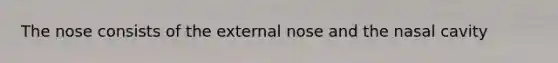 The nose consists of the external nose and the nasal cavity