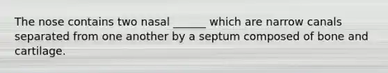 The nose contains two nasal ______ which are narrow canals separated from one another by a septum composed of bone and cartilage.