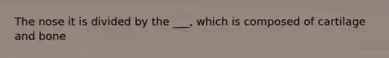 The nose it is divided by the ___, which is composed of cartilage and bone