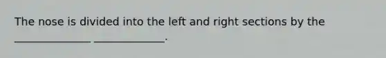The nose is divided into the left and right sections by the ______________ _____________.