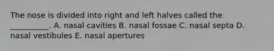 The nose is divided into right and left halves called the __________. A. nasal cavities B. nasal fossae C. nasal septa D. nasal vestibules E. nasal apertures