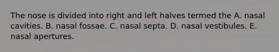 The nose is divided into right and left halves termed the A. nasal cavities. B. nasal fossae. C. nasal septa. D. nasal vestibules. E. nasal apertures.