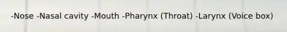 -Nose -Nasal cavity -Mouth -Pharynx (Throat) -Larynx (Voice box)